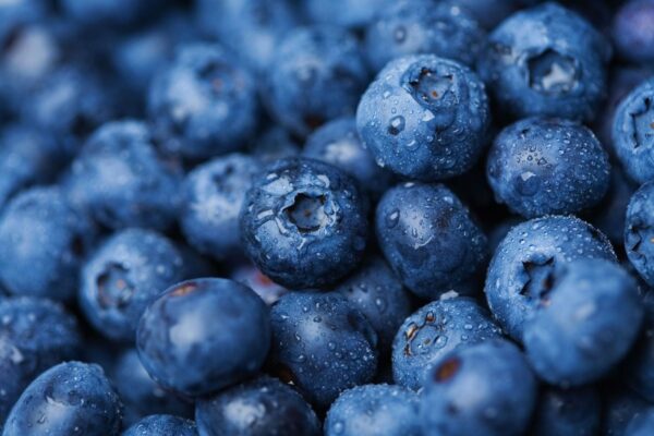 Blueberries - Image 4