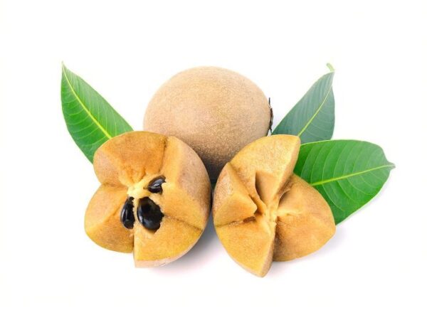 Chikoo (Sapota)