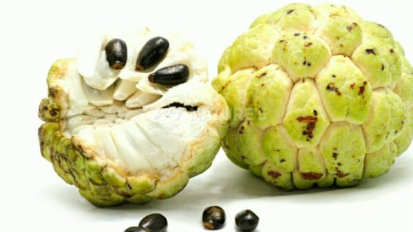 Custard Apple - Image 2