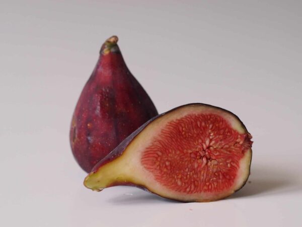 Fig - Image 3