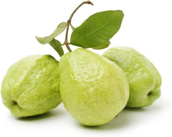 Guava - Image 3