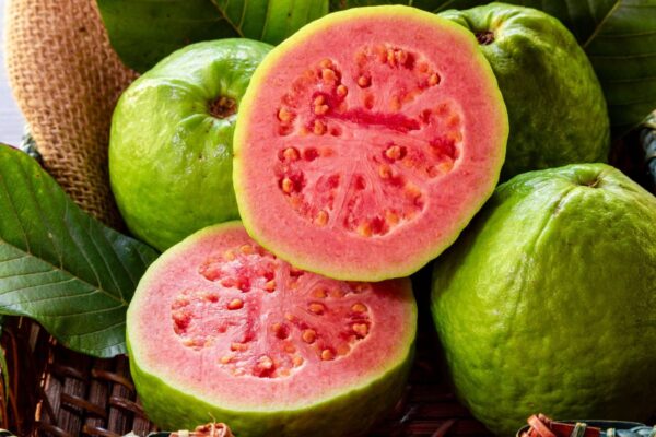 Guava - Image 2