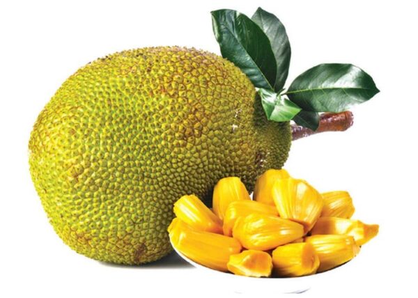 Jackfruit - Image 3