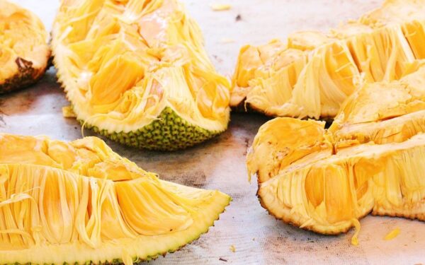 Jackfruit