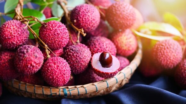Lychee