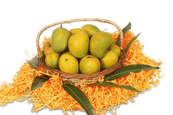 Mango (Aam) - Image 3