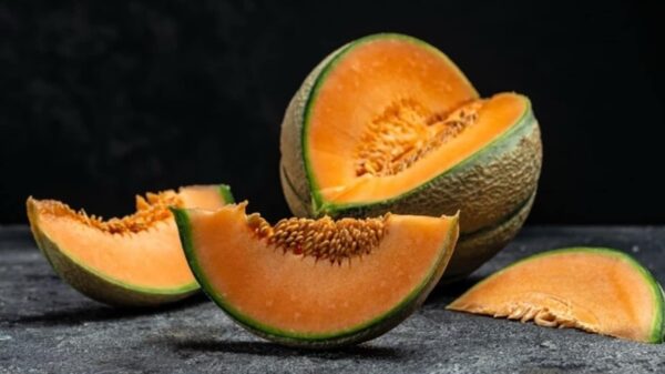 Muskmelon - Image 4