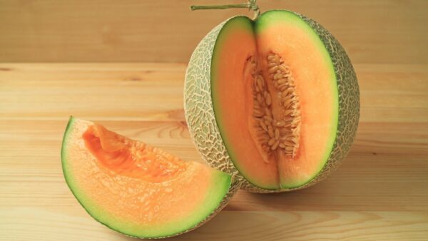 Muskmelon - Image 2